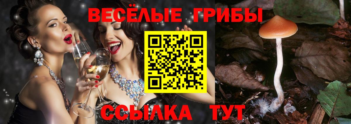 Псилоцибиновые грибы Magic Shrooms Зеленокумск