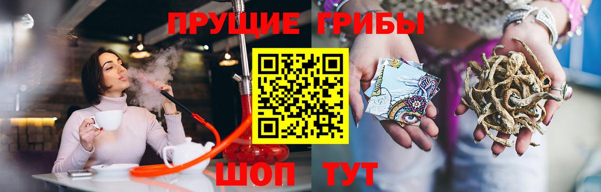 купить наркотик  Вход с VPN  Зеленокумск  Псилоцибиновые грибы ЛСД 